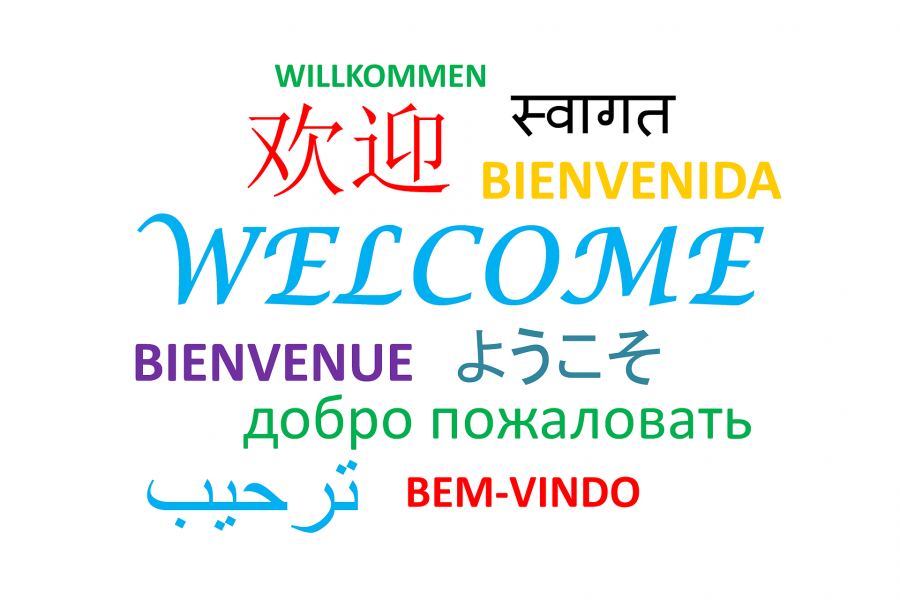 Lær sprog med eReolen Global